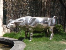 Metal Cows